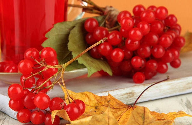 калина пареная рецепты приготовления на зиму