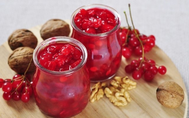 калина на зиму заготовки рецепты лучшие