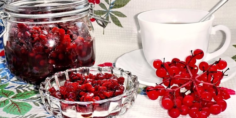 калина на зиму заготовки рецепты лучшие