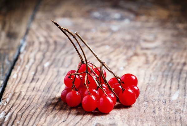 калина на зиму заготовки рецепты лучшие