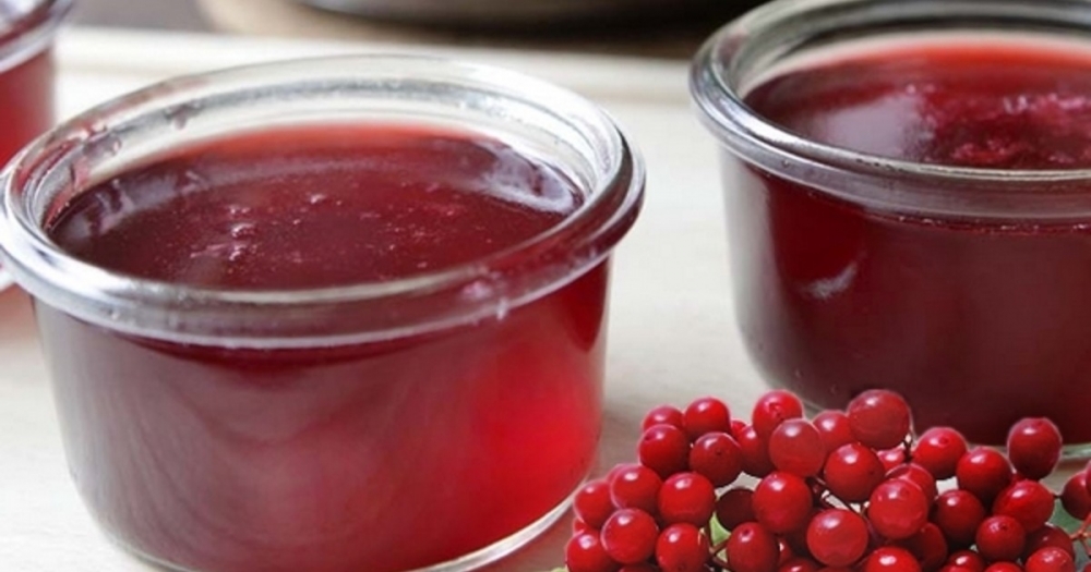 калина на зиму заготовки рецепты лучшие