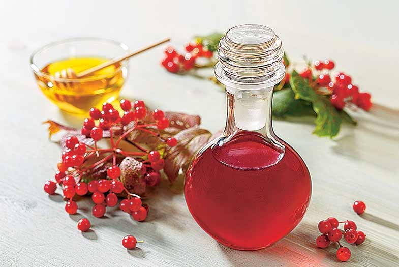 сок из калины на зиму без варки