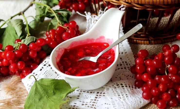 сок калины с медом на зиму рецепты
