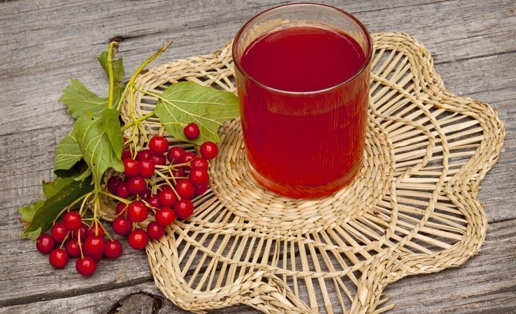 калина рецепты приготовления на зиму с медом