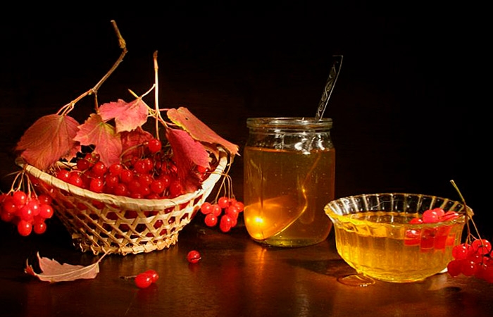 сок калины с медом на зиму рецепты