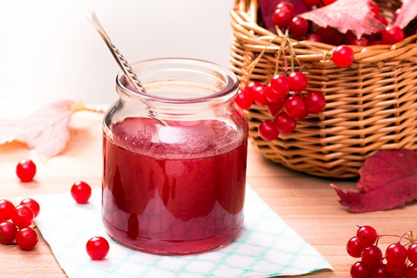 заготовка калины на зиму с медом