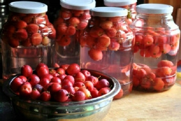 компот из боярышника на зиму рецепт