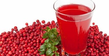 Компот из брусники