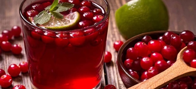 компот из брусники рецепт