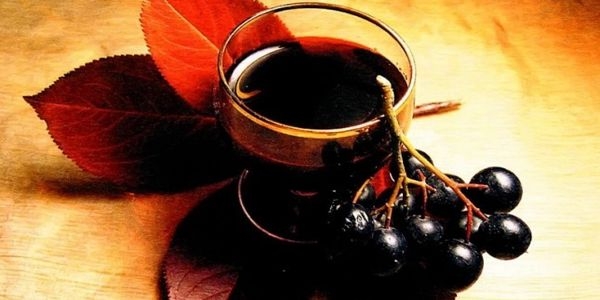 компот из черноплодной рябины на зиму