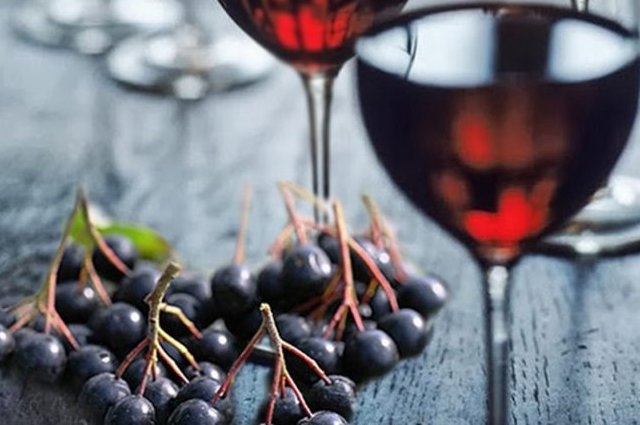 компот из черноплодной рябины