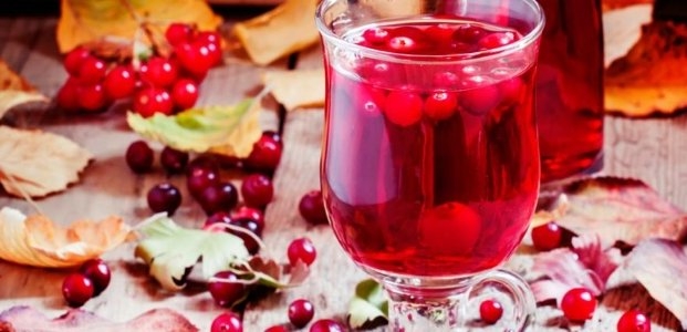 компот из калины и яблок