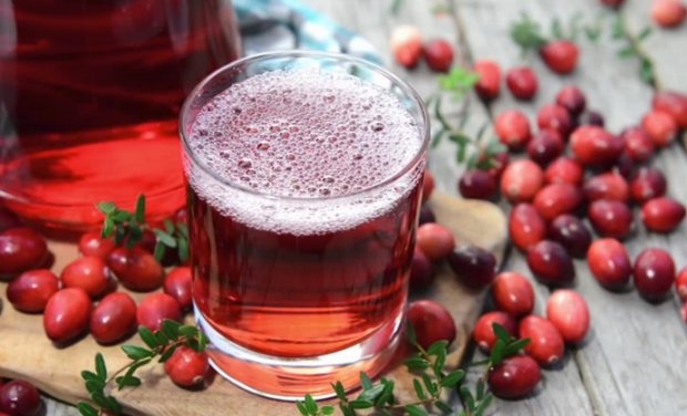 сварить компот из шиповника