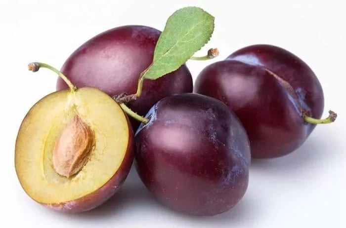 компот из слив на зиму рецепты