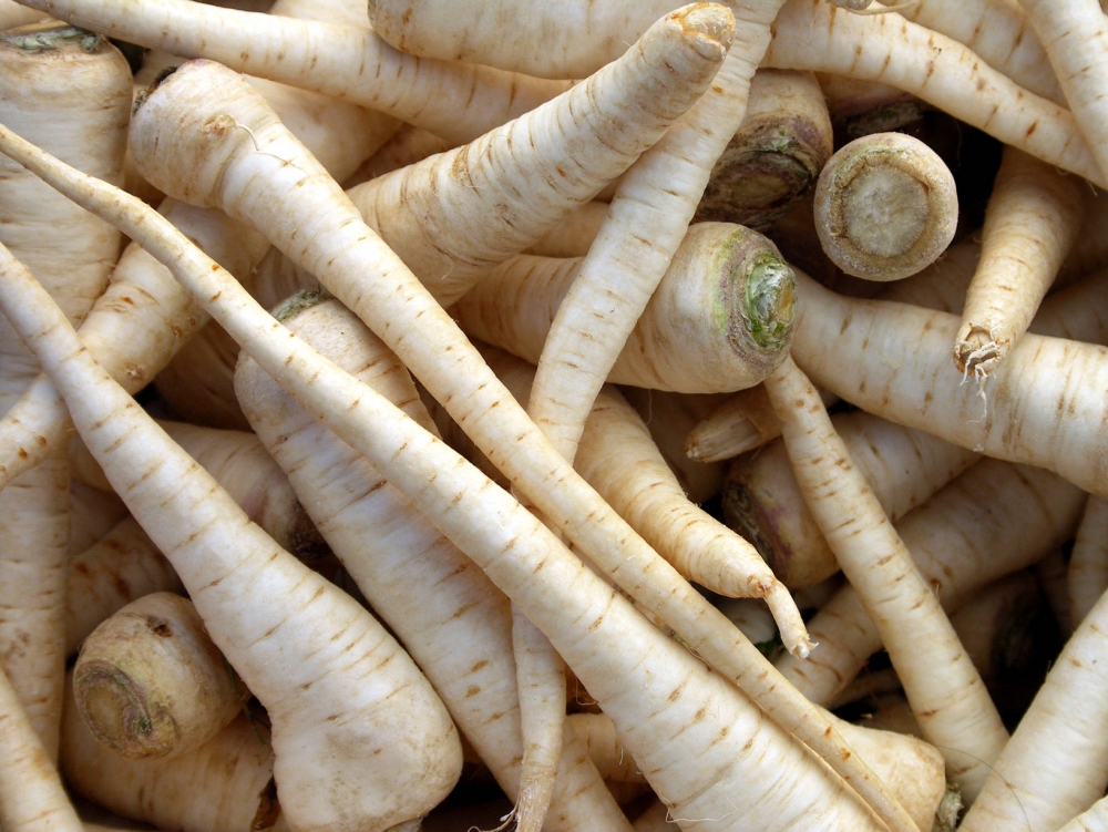 корень петрушки заготовка на зиму