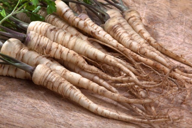 корень петрушки на зиму рецепты