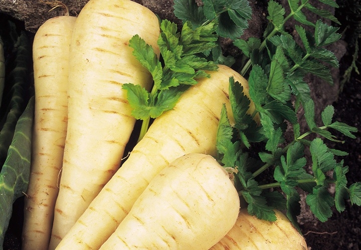 корень петрушки на зиму рецепты