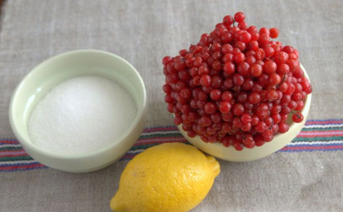 лимон протертый с сахаром на зиму