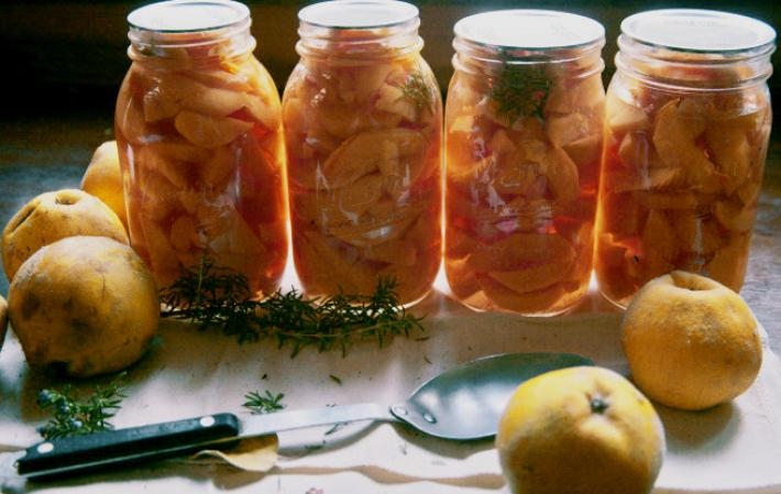 айва маринованная рецепты