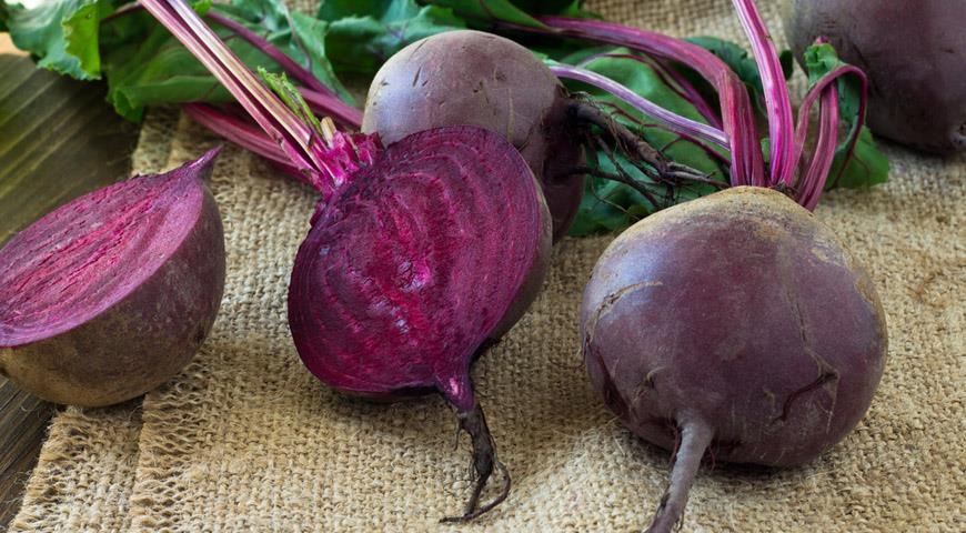 маринованная свекла быстрого приготовления