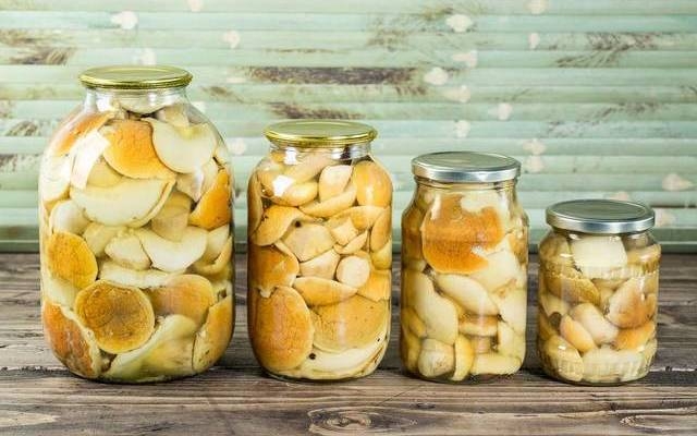 засолка белых грибов