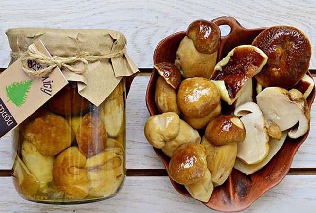 засолка белых грибов
