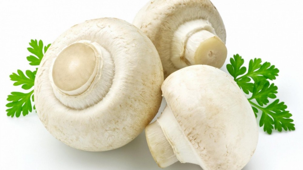 заготовка шампиньонов на зиму рецепты