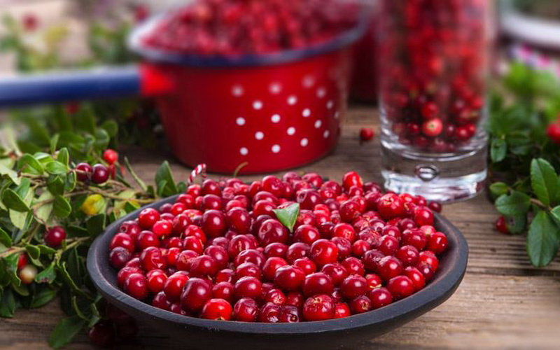 моченые яблоки на зиму простой рецепт