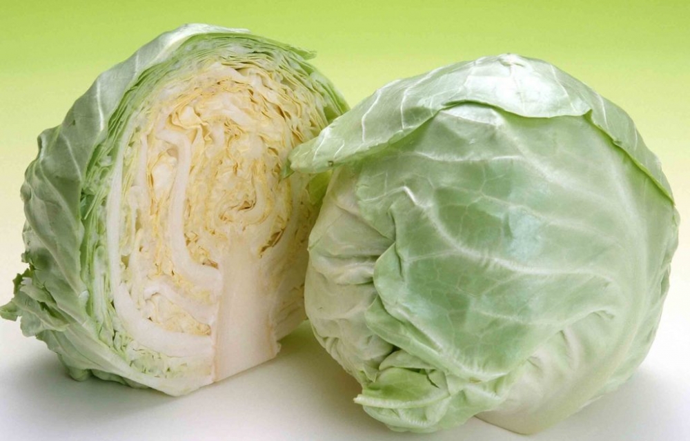 можно ли замораживать капусту в морозилке