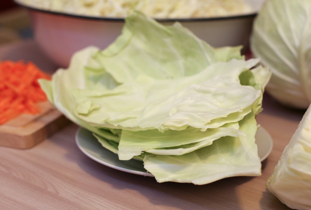 можно ли замораживать капусту в морозилке