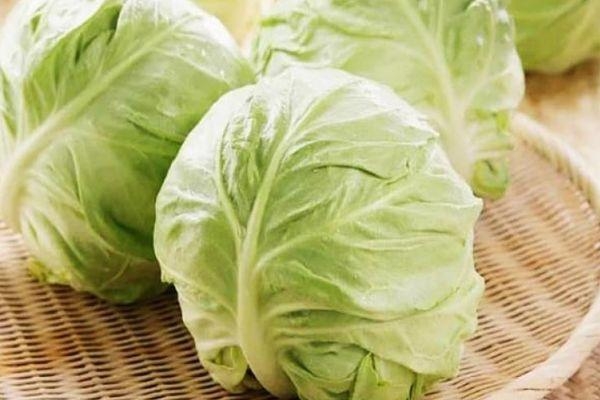 заморозка капусты белокочанной на зиму