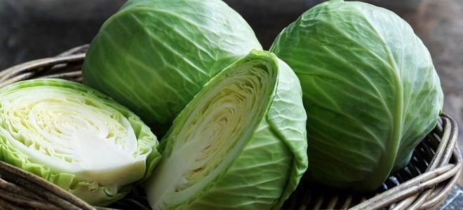 заморозка капусты белокочанной на зиму