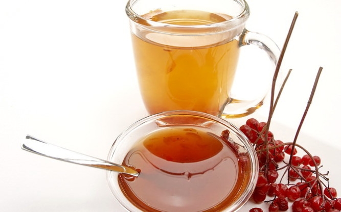 калиновая настойка на водке