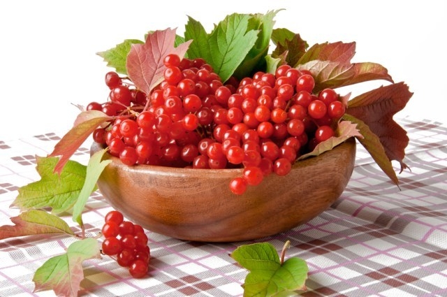 калиновая настойка на водке