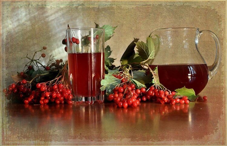 калина рецепты приготовления на зиму настойка