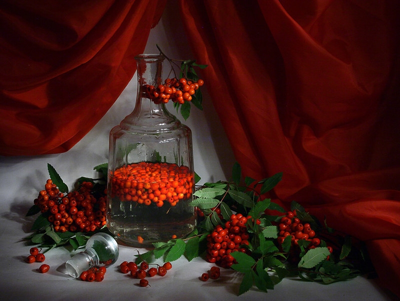 калина рецепты приготовления на зиму настойка