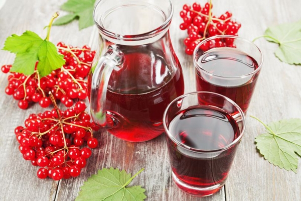 наливка из калины в домашних условиях