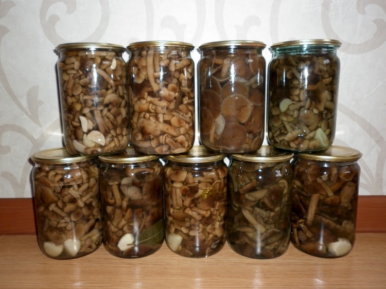 консервация опят