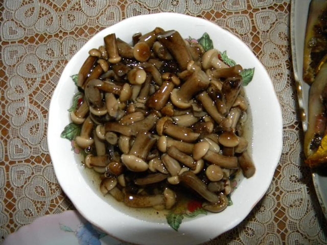 опята на зиму рецепты приготовления простой