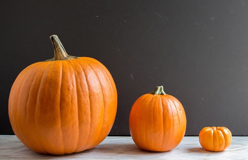 пастила из тыквы в домашних условиях