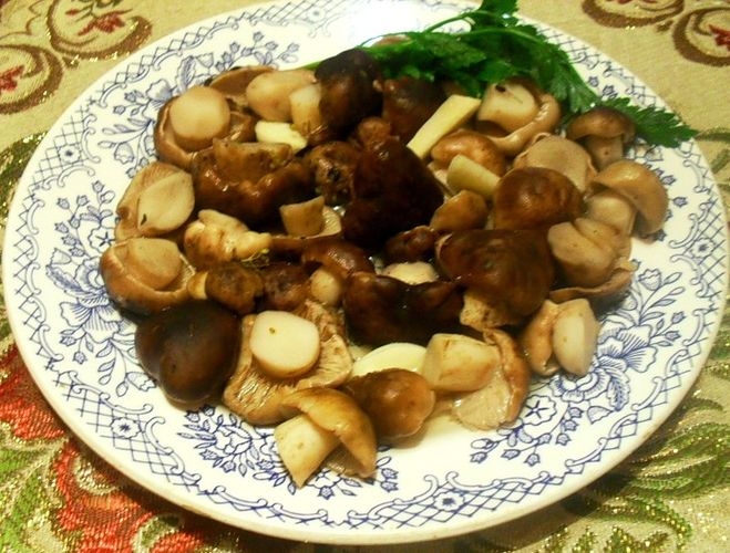 тополиная рядовка рецепты приготовления