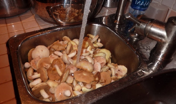 мариновать топольки на зиму в банках