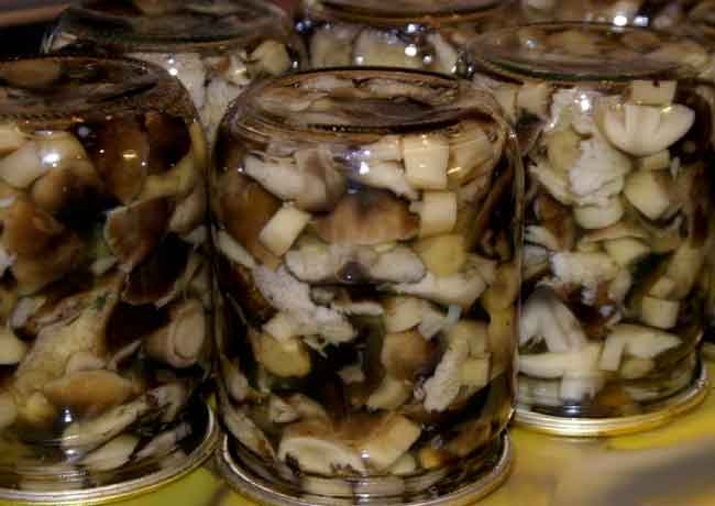 мариновать топольки на зиму в банках