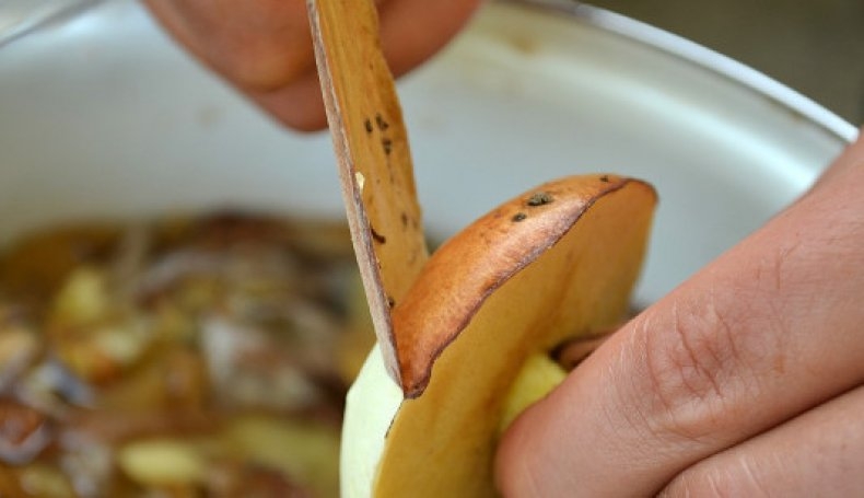 рецепт маринованных маслят