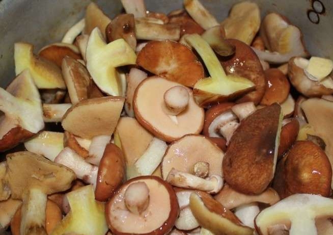 мариновать маслята в домашних условиях