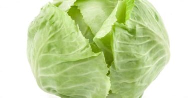 Салат из свежей капусты на зиму