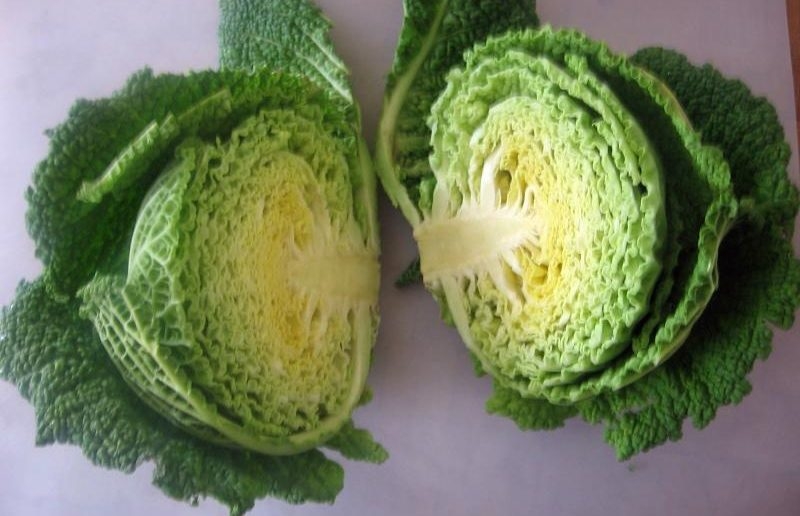 савойская капуста рецепты приготовления заготовки на зиму