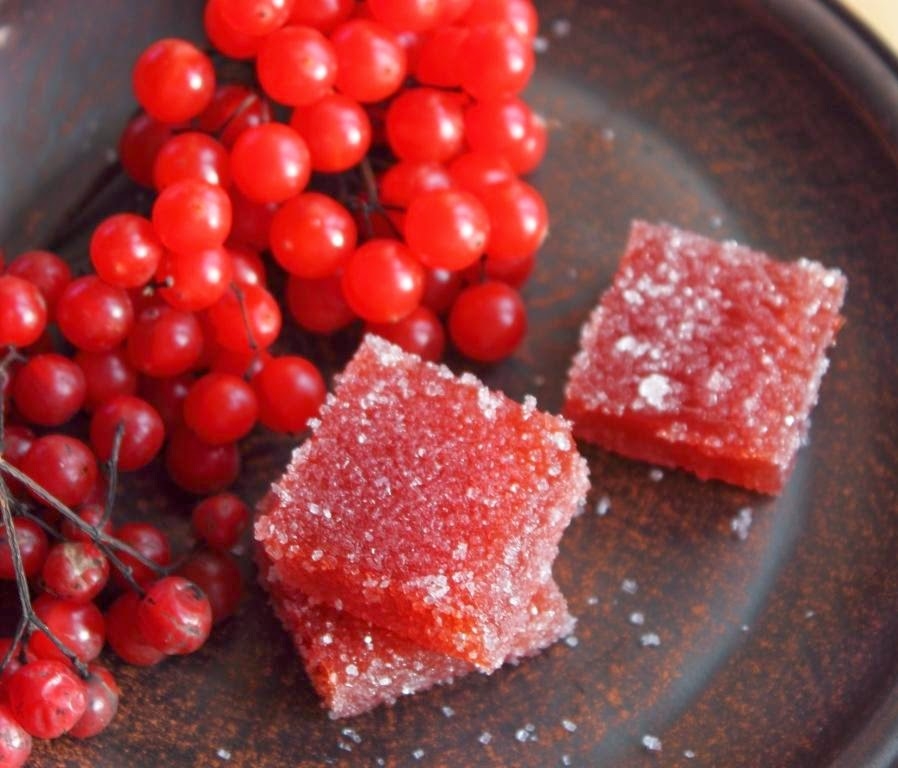 калиновый сок на зиму без варки