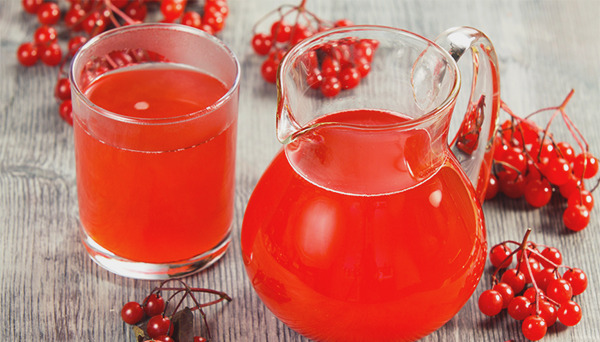калиновый сок на зиму без варки