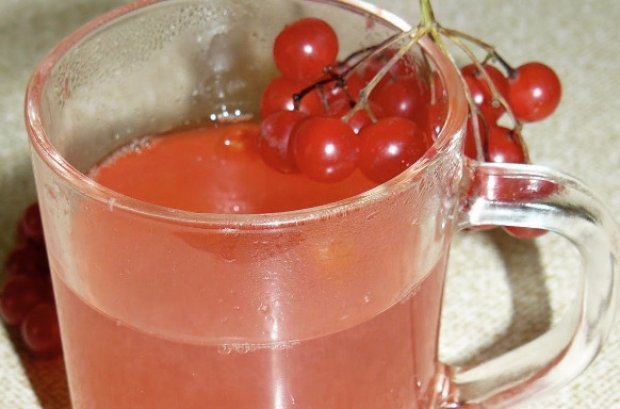 сок из калины на зиму рецепты